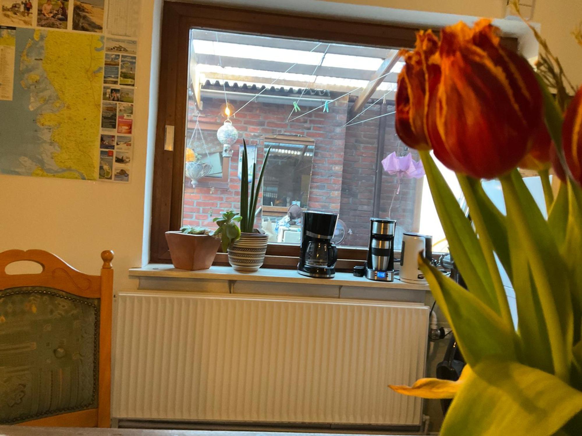 Privartzimmer 'Ausfahrt Freihalten' Husum  Esterno foto